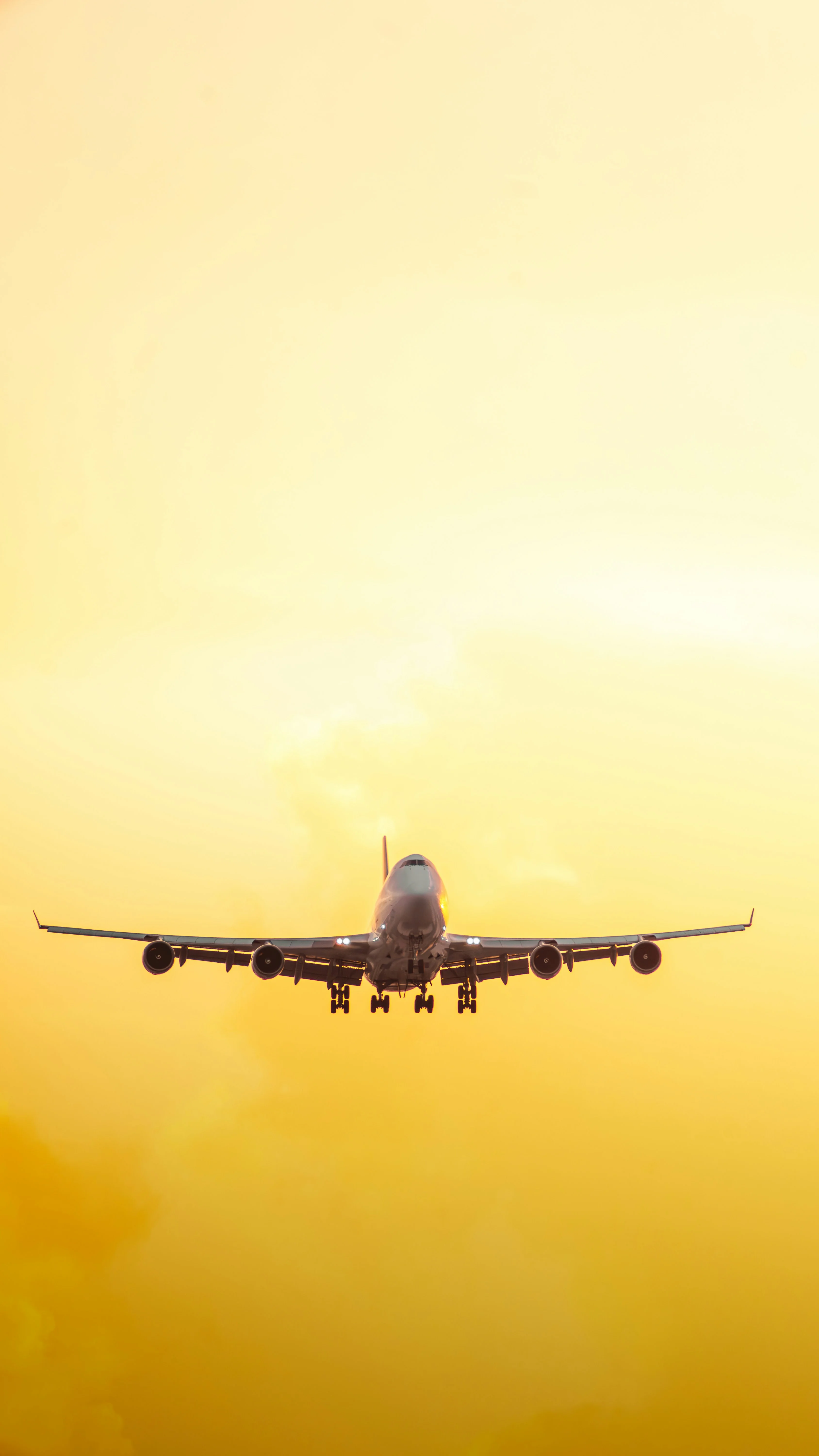 Taking off to rise in the sky