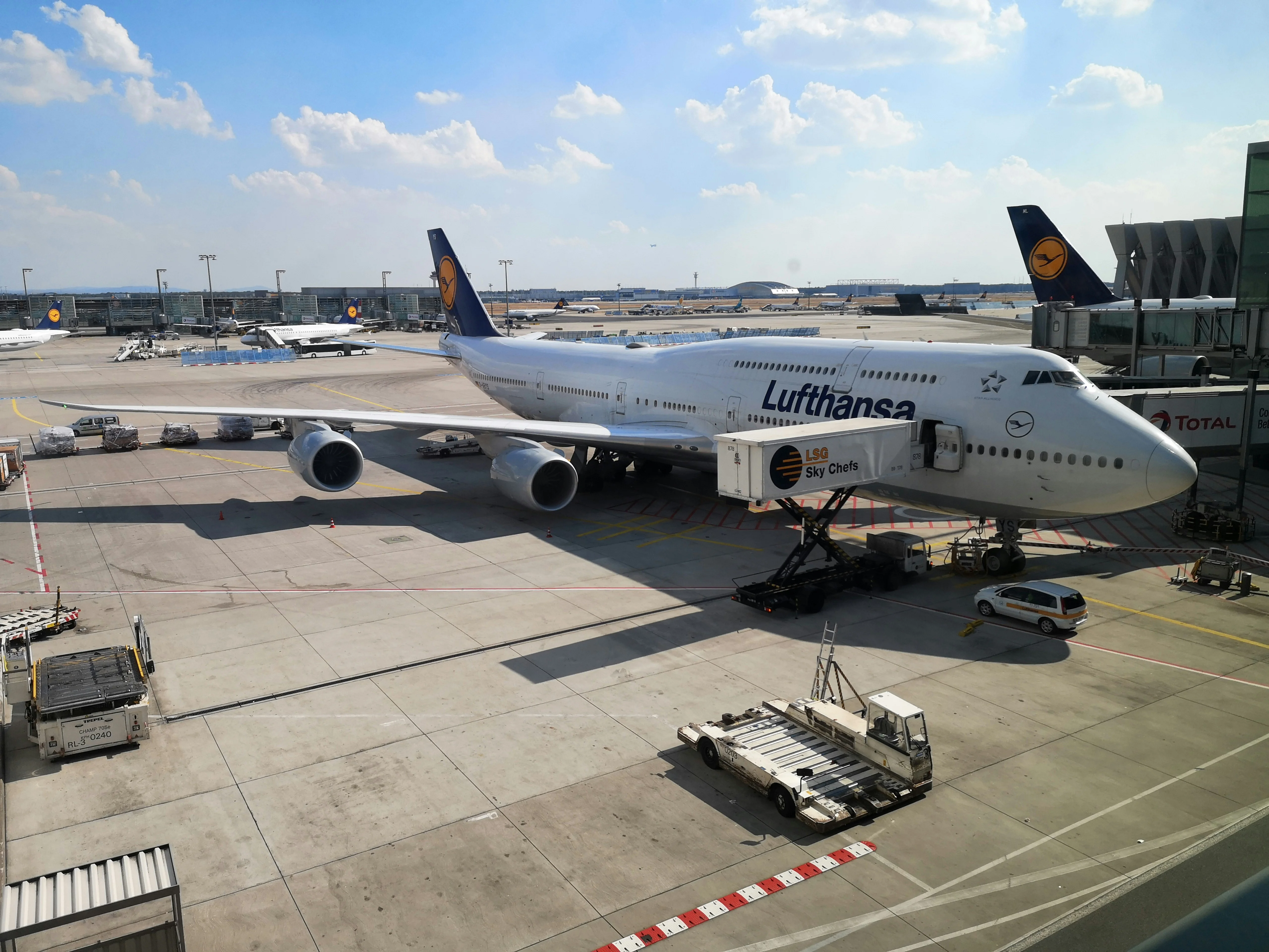Preparing to fly and rise